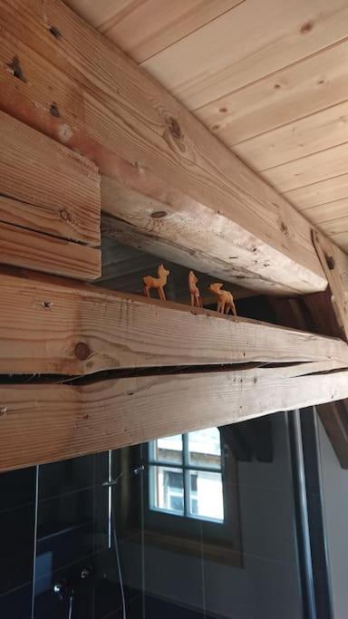 Mothsgut - Moderne Ferienwohnung Auf Dem Bauernhof Im Erzgebirge Oelsnitz  外观 照片